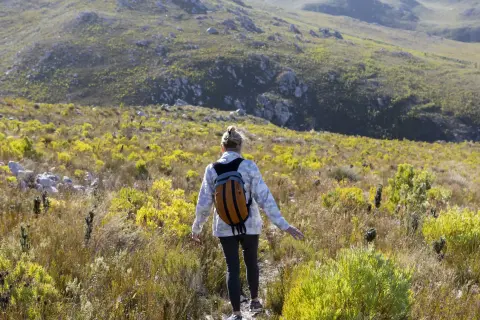 Personal Journey